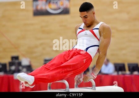 Der englische Gymnastik Meisterschaften Dartford Kent 3.2.12.Lewis Smith Great Britain Stockfoto