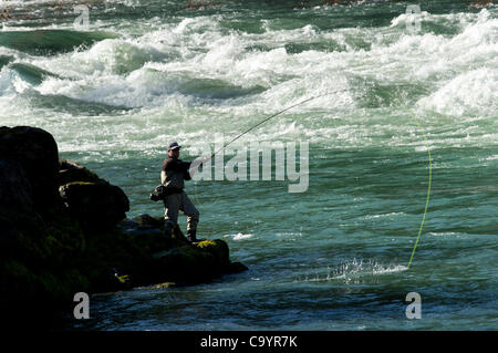 9. März 2012 - Glide, Oregon, USA - ein Angler Fische für Steelhead auf North Umpqua River in der Nähe von Glide, Oregon/USA fliegen Die North Umpqua River gilt als eines der besten Steelhead Fischerei Flüsse in Nordamerika.  Eine 33,8 Meile Strecke des Flusses wurde so wild und landschaftlich durch die United Stat bezeichnet. Stockfoto