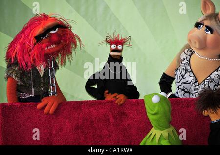 Tier, Pepe, Miss Piggy, Kermit bei der Induktion Zeremonie für Stern auf dem Hollywood Walk of Fame fürdas Muppets, Hollywood Boulevard, Los Angeles, CA 20. März 2012. Foto von: Michael Germana/Everett Collection Stockfoto