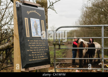 Newtownabbey, Nordirland, Vereinigtes Königreich, 21.03.2012 - Gedenktafel in Erinnerung an einen Toten Traveller außerhalb eines Felds wo tot und unterernährte Pferde in Newtownabbey gefunden werden Stockfoto