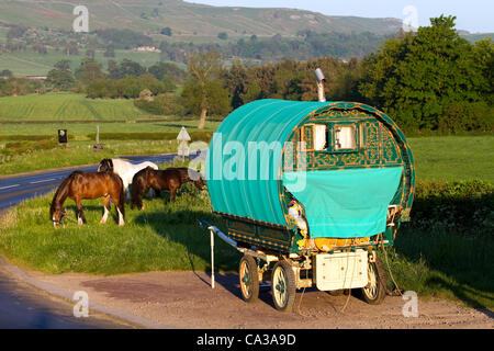 30. Mai 2012. Leyburn, North Yorkshire, UK dieser Bowtop Wagen oder "Zigeunerwagen" über Nacht geparkt ist und Pferde grasen am Straßenrand in der Nähe von Leyburn, als Reisenden sammeln für jährliche Appleby Horse Fair. Stockfoto