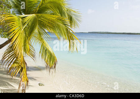 21. Mai 2012 - Chichiriviche, Falcon, Venezuela - Cayo Sombrero, einer kleinen Insel im karibischen Meer, das zum Morrocoy Nationalpark in Venezuela gehört. Chichiriviche, Falcon Staat, Venezuela. (Kredit-Bild: © Ricardo Ribas/ZUMAPRESS.com) Stockfoto