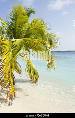 21. Mai 2012 - Chichiriviche, Falcon, Venezuela - Cayo Sombrero, einer kleinen Insel im karibischen Meer, das zum Morrocoy Nationalpark in Venezuela gehört. Chichiriviche, Falcon Staat, Venezuela. (Kredit-Bild: © Ricardo Ribas/ZUMAPRESS.com) Stockfoto