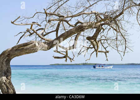 21. Mai 2012 - Chichiriviche, Falcon, Venezuela - Cayo Sombrero, einer kleinen Insel im karibischen Meer, das zum Morrocoy Nationalpark in Venezuela gehört. Chichiriviche, Falcon Staat, Venezuela. (Kredit-Bild: © Ricardo Ribas/ZUMAPRESS.com) Stockfoto