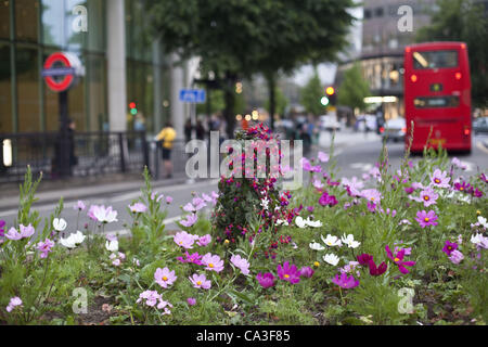 31. Mai 2012 u-Bahnstation, London, UK - London, UK - blühenden Blumen in der Nähe von St. Pauls. (Kredit-Bild: © Veronika Lukasova/ZUMAPRESS.com) Stockfoto