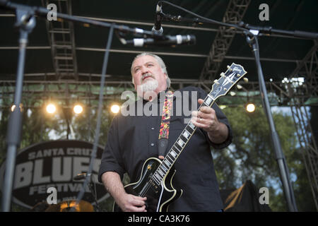 26. Mai 2012 - Aptos, CA, USA - Gitarrist DAVID HIDALGO von der Band LOS LOBOS tritt am 20. jährlichen Santa Cruz Blues Festival. (Kredit-Bild: © Jerome Brunet/ZUMAPRESS.com) Stockfoto