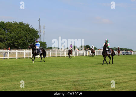 06.02.12. Epsom Downs, Surrey, UK. Pferde und Reiter machen den Weg zum Start von The Derby 2012. Stockfoto