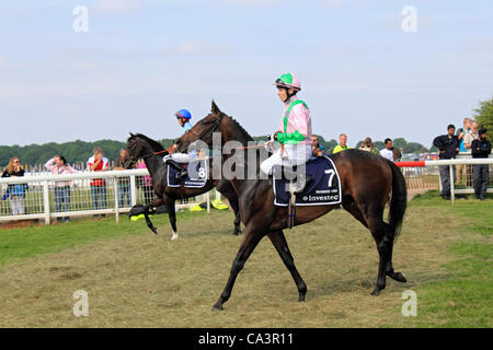 06.02.12. Epsom Downs, Surrey, UK. Pferde und Reiter machen den Weg zum Start von The Derby 2012. Stockfoto