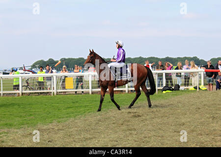 06.02.12. Epsom Downs, Surrey, UK. Astrologie, geritten von Jockey Ryan Moore machen den Weg zum Start von The Derby 2012. Stockfoto