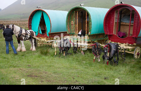 Dienstag, 5. Juni 2012: Gypsy Reisende mit drei Bogen Top Wagen unterwegs, fiel Ende Sedbergh. Ein Reisender, die Teilnahme an der jährlichen Appleby Horse Fair, Cumbria, UK Stockfoto