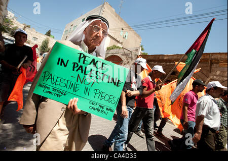 HEBRON, Palästina - 5. Juni 2012: Ein palästinensischer Mann trägt ein Schild mit der Aufschrift "Frieden in Palästina, nicht Palästina in Stücke" während einer gewaltfreien Demonstration zum Gedenken an Naksa Day, dem Jahrestag der israelischen Besatzung der palästinensischen Gebiete im Jahr 1967. Stockfoto