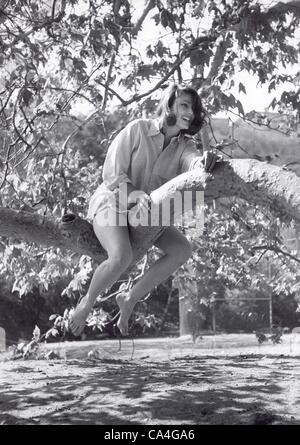 PAULA PRENTISS (Kredit-Bild: © Don Ornitz/Globe Photos/ZUMAPRESS.com) Stockfoto