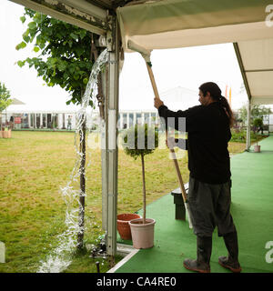 Ein Mann mit starken Regenfällen auf der Telegraph Hay Festival zu tun, ist jetzt feiert es 25. Jahr 7. Juni 2012 Stockfoto