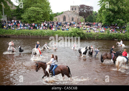 10. Juni 2012 bei Appleby, Cumbria, UK. Pferde waschen im Fluss Eden. Sonntag ist traditionell ein viel beschäftigter Tag für Pferd Handel und Besucher Teilnahme an Appleby Fair, die größte jährliche Zusammenkunft von Sinti und Roma und fahrenden in Europa. Stockfoto