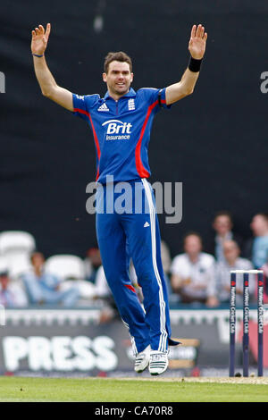 18.06.2012 London England. Englands James Anderson, plädiert für ein Wicket während der Nat West Series internationalen Cricket 2. eines Tages Spiel zwischen England und die West Indies im Kia Oval. Obligatorische Kredit: Mitchell Gunn. Stockfoto