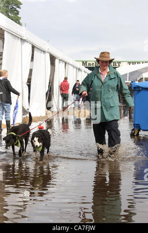 Ingliston, Edinburgh, UK. 22. Juni 2012.  Eine Frau geht mit ihren beiden Hunden durch ein Überschwemmungsgebiet der 172. Royal Highland Show. Stockfoto