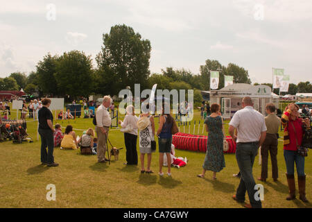 Zuschauer des Hundes springen bei der Show am 20. Juni 2012 an der Lincolnshire Turnierplatz, Lincoln, UK. Stockfoto