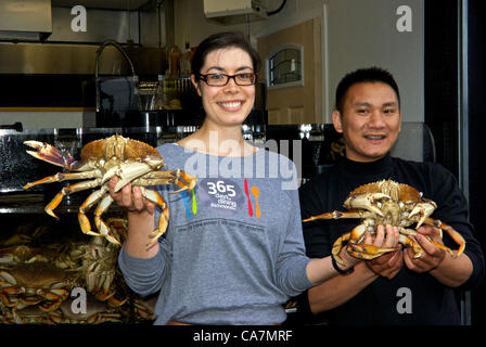 Freitag, 22. Juni 2012, Britisch-Kolumbien, Kanada. Tourismus-Richmond-Feinschmecker-Blogger, pflückt Lindsay Anderson ein paar Dungeness Krabben am Steveston Crab Shack für Probenahme auf ihrer 17. Tag aus 365 aufeinander folgenden Tagen, die sie in den Restaurants in Richmond Essen wird. Stockfoto