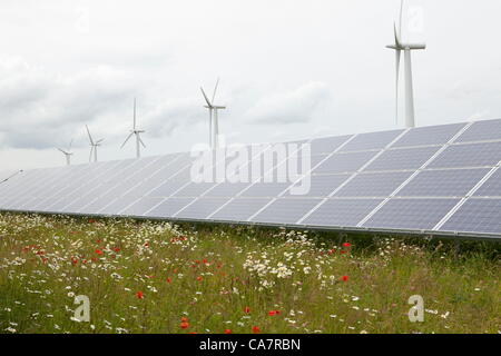 Westmill. Watchfield nr Swindon, UK. Samstag, 23. Juni 2012. Westmill Energie-Bauernhof am Tag seines Anteils bieten auf ihren Solarpark Westmill ist der erste Wind und solar Park zu Cooperativley im Besitz seiner Mitglieder, installierten Solarzellen generieren 4.8 GWh pro Jahr von sauberem Strom, genug um 1.400 Haushalte zu versorgen. Stockfoto