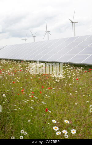 Westmill. Watchfield nr Swindon, UK. Samstag, 23. Juni 2012. Westmill Energie-Bauernhof am Tag seines Anteils bieten auf ihren Solarpark Westmill ist der erste Wind und solar Park zu Cooperativley im Besitz seiner Mitglieder, installierten Solarzellen generieren 4.8 GWh pro Jahr von sauberem Strom, genug um 1.400 Haushalte zu versorgen. Stockfoto