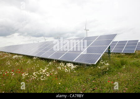 Westmill. Watchfield nr Swindon, UK. Samstag, 23. Juni 2012. Westmill Energie-Bauernhof am Tag seines Anteils bieten auf ihren Solarpark Westmill ist der erste Wind und solar Park zu Cooperativley im Besitz seiner Mitglieder, installierten Solarzellen generieren 4.8 GWh pro Jahr von sauberem Strom, genug um 1.400 Haushalte zu versorgen. Stockfoto