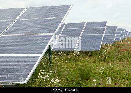 Westmill. Watchfield nr Swindon, UK. Samstag, 23. Juni 2012. Westmill Energie-Bauernhof am Tag seines Anteils bieten auf ihren Solarpark Westmill ist der erste Wind und solar Park zu Cooperativley im Besitz seiner Mitglieder, installierten Solarzellen generieren 4.8 GWh pro Jahr von sauberem Strom, genug um 1.400 Haushalte zu versorgen. Stockfoto