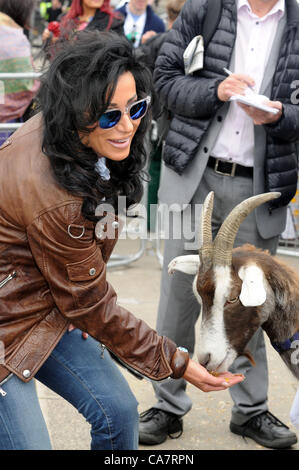 London - Nancy Dell'Olio an die internationale Witwen Tag Celebrity Ziege Fuß an der London Bridge, London, England - 23. Juni 2012 Foto von Menschen Presse Stockfoto