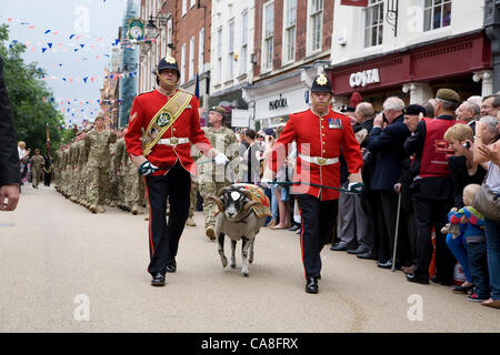 Worcester, England, Vereinigtes Königreich. Mittwoch, 27. Juni 2012.  Soldaten aus dem 2. Bataillon Mercian Regiment, Grenadier Guards, Queen es Royal Hussars und Mitglieder der Royal British Legion, parade durch die Straßen von Worcester. Sieben Soldaten aus der Stadt erhielten ihre Medaillen. Stockfoto