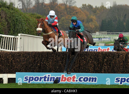 Trafalgar Straße geritten von Richard Johnson führt vom Lexikon Lad geritten von Paddy Brennan in der Newcourt Novices´ Handicap Chase in Sandown Park Pferderennbahn in Esher, Surrey - 12.02.2011 - CREDIT: Martin Dalton/TGSPHOTO Stockfoto