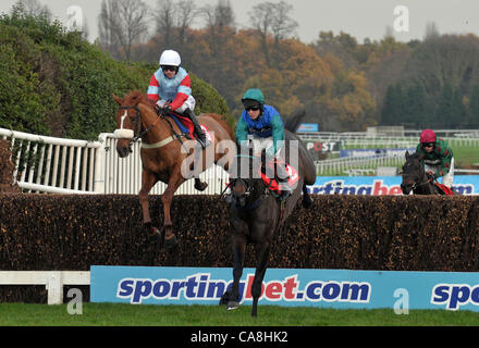 Trafalgar Straße geritten von Richard Johnson führt vom Lexikon Lad geritten von Paddy Brennan in der Newcourt Novices´ Handicap Chase in Sandown Park Pferderennbahn in Esher, Surrey - 12.02.2011 - CREDIT: Martin Dalton/TGSPHOTO Stockfoto