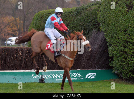 Lexikon-Lad geritten von Paddy Brennan nimmt das letzte in der Newcourt Novices´ Handicap Chase in Sandown Park Pferderennbahn in Esher, Surrey - 12.02.2011 - CREDIT: Martin Dalton/TGSPHOTO Stockfoto