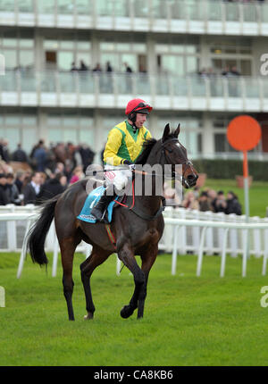 Sizing Europa geritten von Andrew Lynch nach seinem Sieg in der Sportingbet Tingle Creek Chase (Grad 1) bei Sandown Park Racecourse, Esher, Surrey - 03/12/2011 - Quelle: Martin Dalton Stockfoto