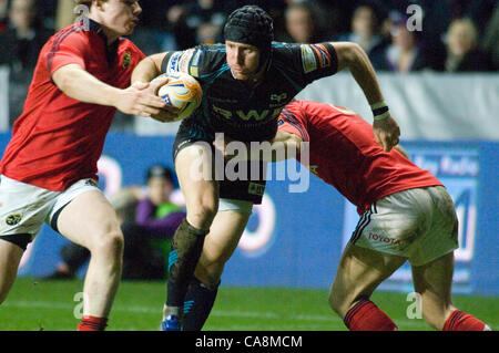 Fischadler V Münster - RaboDirect Pro 12 @ Liberty Stadium in Swansea. Fischadler Barry Davies. Stockfoto