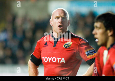 Fischadler V Münster - RaboDirect Pro 12 @ Liberty Stadium in Swansea. Munsters Paul O Connell. Stockfoto