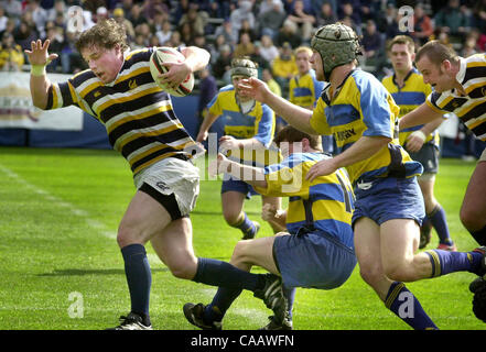 Ryan Donnelly (cq)(#12) Cal Pausen frei von der University of British Columbia-Spieler für einen Gewinn bei CALs Rugby-Spiel gegen die University of British Columbia in Witter Field in Berkeley, Kalifornien auf Samstag, 21. Februar 2004. (SHERRY LAVARS / ZEITEN) Stockfoto