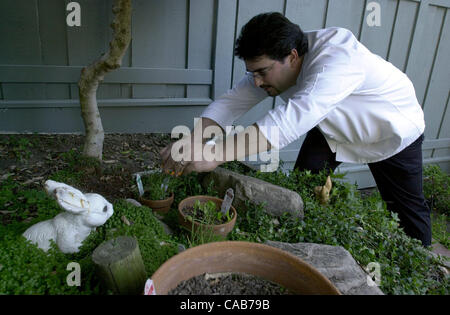 Chef Allen Vitti, von Bridges Restaurant, Überfälle Kräutergarten für Schnittlauch und Zitronenthymian, wie der Koch Überraschungsteam Lysa Lewallens Küche in Walnut Creek, Kalifornien, auf Montag, 3. Mai 2004 dringt. (CONTRA COSTA TIMES / EDDIE LEDESMA) Stockfoto