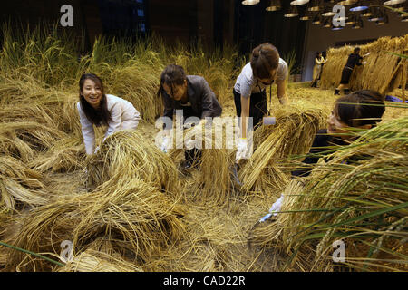 Sep 9, 2010 - Tokyo, Japan - Mitarbeiter von Pasona Group Inc., Personaldienstleister, ernten Reis bei der "Urban Farm", wo der Reis gepflanzt und auf der ersten Etage des ihren Sitz im Zentrum von Tokio, Japan angebaut. Mehr als 200 Arten von Pflanzen werden angebaut, einschließlich Obst und Gemüse eine Stockfoto