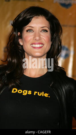 7. Februar 2008 fördert die 4. jährliche Hund Annahme Laufwerk im neuen Pedigree Hund Store am TImes Square - New York, NY, USA - Schauspielerin KATE WALSH. (Kredit-Bild: © Nancy Kaszerman/ZUMA Press) Stockfoto