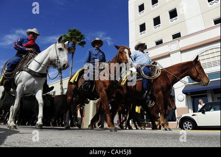 13. Januar 2011 - West Palm Beach, Florida, Vereinigte Staaten von Amerika - Florida Cowboys Rinder Clematis Street in West Palm Beach, Florida zu fahren... 13. Januar 2011 (Kredit-Bild: © Mary F. Calvert/ZUMAPRESS.com) Stockfoto