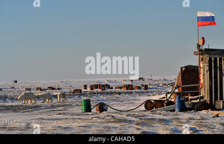 Russische Polarstation am Kap Chelyuskin; Fyodorov Observatorium Polarstation. Eisbär. Russische Flagge. 30. September 2010. Stockfoto