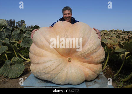 Jon Hunt (Cq, Elk Grove) schätzt, dass dieser Riesenkürbis, wächst in einem Patch in Wilton, 700 + Pfund, 20. September 2007 wiegt. Sacramento Bee / Florenz Low Stockfoto