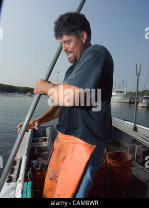 Quahoger (Shellfisherman) David Middleton an Arbeit Rechen für Muscheln in Narragansett Bay aus Rhode Island (Model Release) Stockfoto