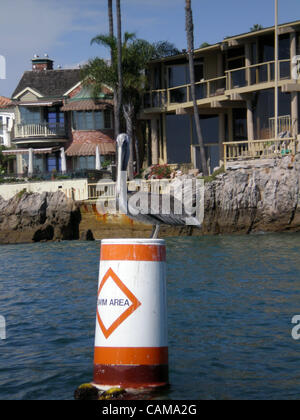 Sep 03, sitzt auf einer Boje in Newport Bay 2007 - Newport Beach, CA, USA - A Pelican.  Im Hintergrund sitzen Ufergegendhäuser in Corona del Mar (Credit-Bild: © Camilla Zenz/ZUMA drücken) Stockfoto