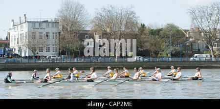 04.03.2012. 158. Xchanging Oxford & Universitäten Cambridge Boat Race.  Cambridge Blue (Forground) und Goldie Boote auf Praxis-Ausflüge in der Vorwoche Tideway. Cambridge Blau Boot (im Vordergrund) Zeilen gegen Cambridge Goldie reservieren Boot.  Cambridge Blue Crew:-1 Bogen: David Nelson (A Stockfoto