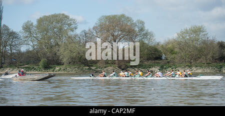 04.03.2012. 158. Xchanging Oxford & Universitäten Cambridge Boat Race.  Cambridge Blue (Forground) und Goldie Boote auf Praxis-Ausflüge in der Vorwoche Tideway. Cambridge Blau Boot (im Vordergrund) Zeilen gegen Cambridge Goldie reservieren Boot.  Cambridge Blue Crew:-1 Bogen: David Nelson (A Stockfoto