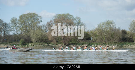 04.03.2012. 158. Xchanging Oxford & Universitäten Cambridge Boat Race.  Cambridge Blue (Forground) und Goldie Boote auf Praxis-Ausflüge in der Vorwoche Tideway. Cambridge Blau Boot (im Vordergrund) Zeilen gegen Cambridge Goldie reservieren Boot.  Cambridge Blue Crew:-1 Bogen: David Nelson (A Stockfoto