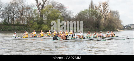 04.03.2012. 158. Xchanging Oxford & Universitäten Cambridge Boat Race.  Cambridge Blue (Forground) und Goldie Boote auf Praxis-Ausflüge in der Vorwoche Tideway. Cambridge Blau Boot (im Vordergrund) Zeilen gegen Cambridge Goldie reservieren Boot.  Cambridge Blue Crew:-1 Bogen: David Nelson (A Stockfoto