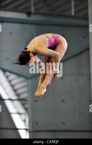 Mai Nakagawa (JPN), 13. April 2012 - Tauchen: JAPAN Divig 2012 Frauen 3 m Sprungbrett Finale am internationalen Pool Tatsumi, Tokio, Japan. (Foto von Jun Tsukida/AFLO SPORT) [0003] Stockfoto