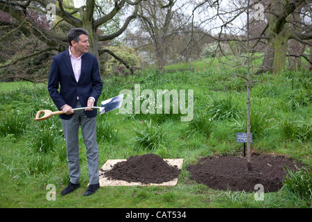 LOCOG Veranstaltung Kew Gardens, Surrey, UK. 18.04.2012 Bild zeigt Sebastian Coe, LOCOG Stuhl, Pflanzen Sie einen Baum im Garten von Kew Gardens, den Countdown der 100 Tage bis zum Beginn der Olympischen Spiele 2012 in London zu gedenken. Stockfoto