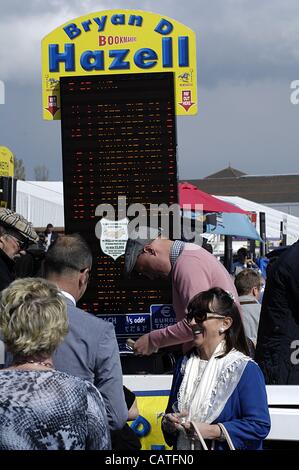 Ayr, UK. 20. April 2012. Schottische Grand National-Wochenende (Tag 1). Auszahlungszeitpunkt. Ein Spieler ist glücklich, wie sie ihre Gewinne aus der Buchmacher bei Ayr Rennen sammelt. Stockfoto